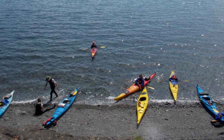 a group of kayaks rest on the shore in the pacific northwest